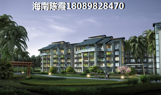 格氏栲森林公园12月份去合适吗